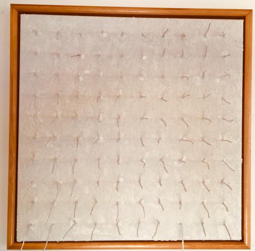 Structures bianco-2 (2009, 40x40, gesso:rope:mixed materials on canvas)